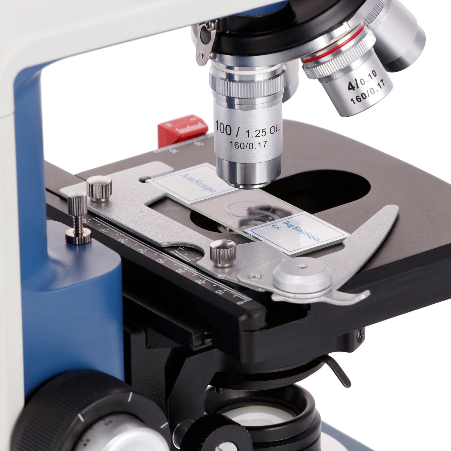 Microscope Compound 40X - Microscópio Binocular Composto para Estudantes AmScope
