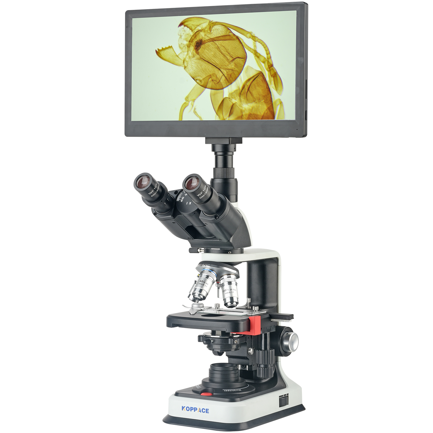 Microscope Compound 40X - Microscópio Eletrônico de Laboratório KOPPACE 40X-2500X