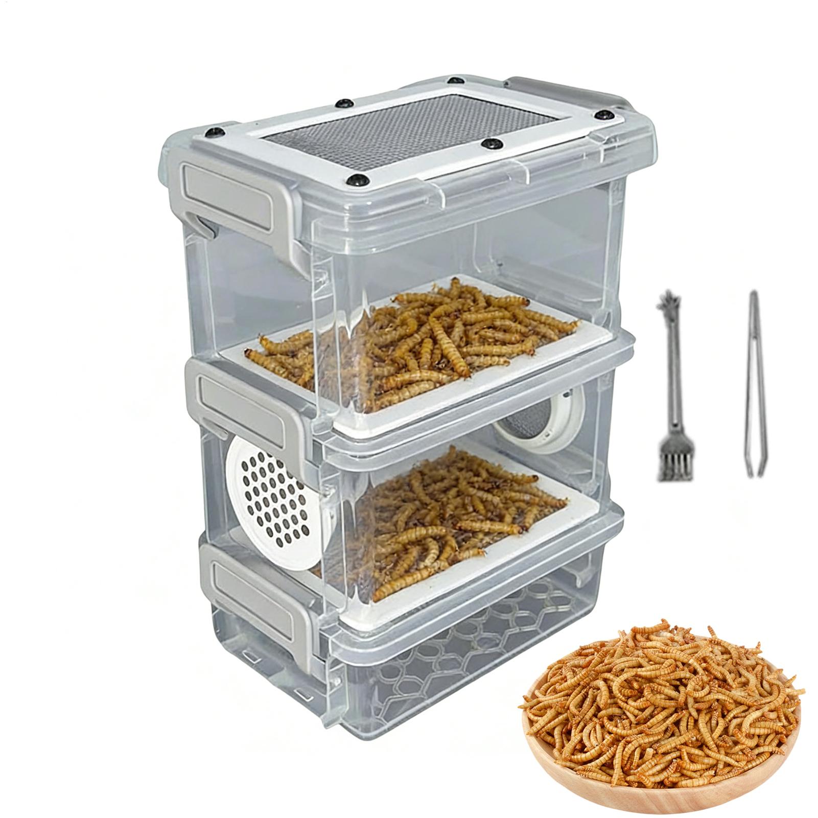 Science Hobbyist - Kit de Criação de Tenébrios: Caixa