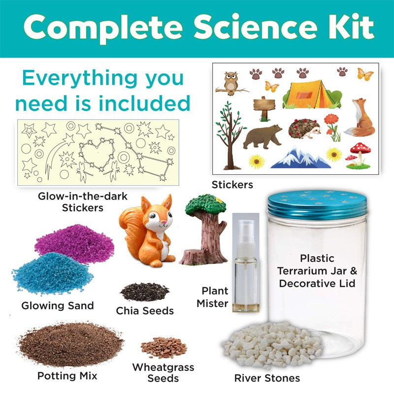 Conjunto de Caixas de Plantio  - Science Nursery avaliação e preço