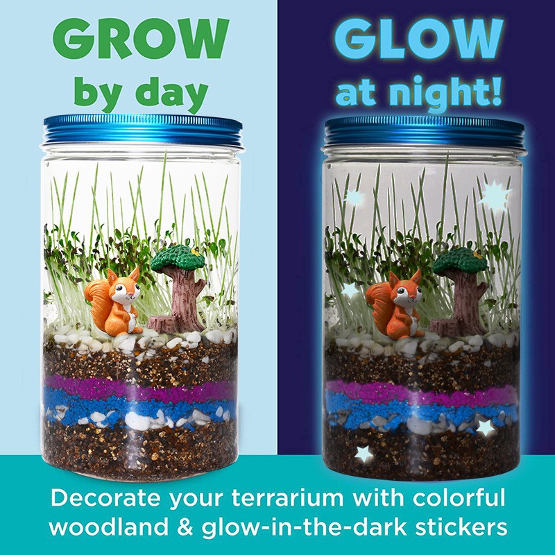 Conjunto de Caixas de Plantio  - Science Nursery avaliação e preço