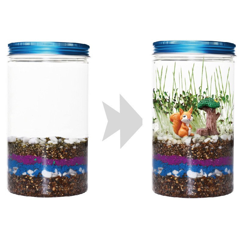 Conjunto de Caixas de Plantio  - Science Nursery avaliação e preço
