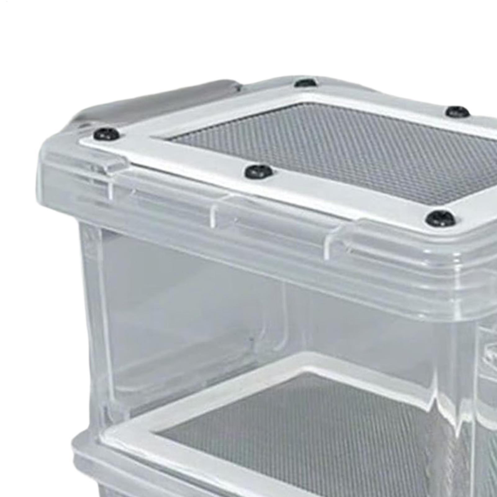 Kit de Criação de Tenébrios: C - Science Hobbyist avaliação e preço