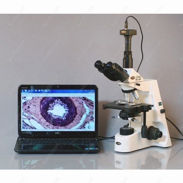 Microscópio Biológico Composto - Microscope Compound 40X avaliação e preço