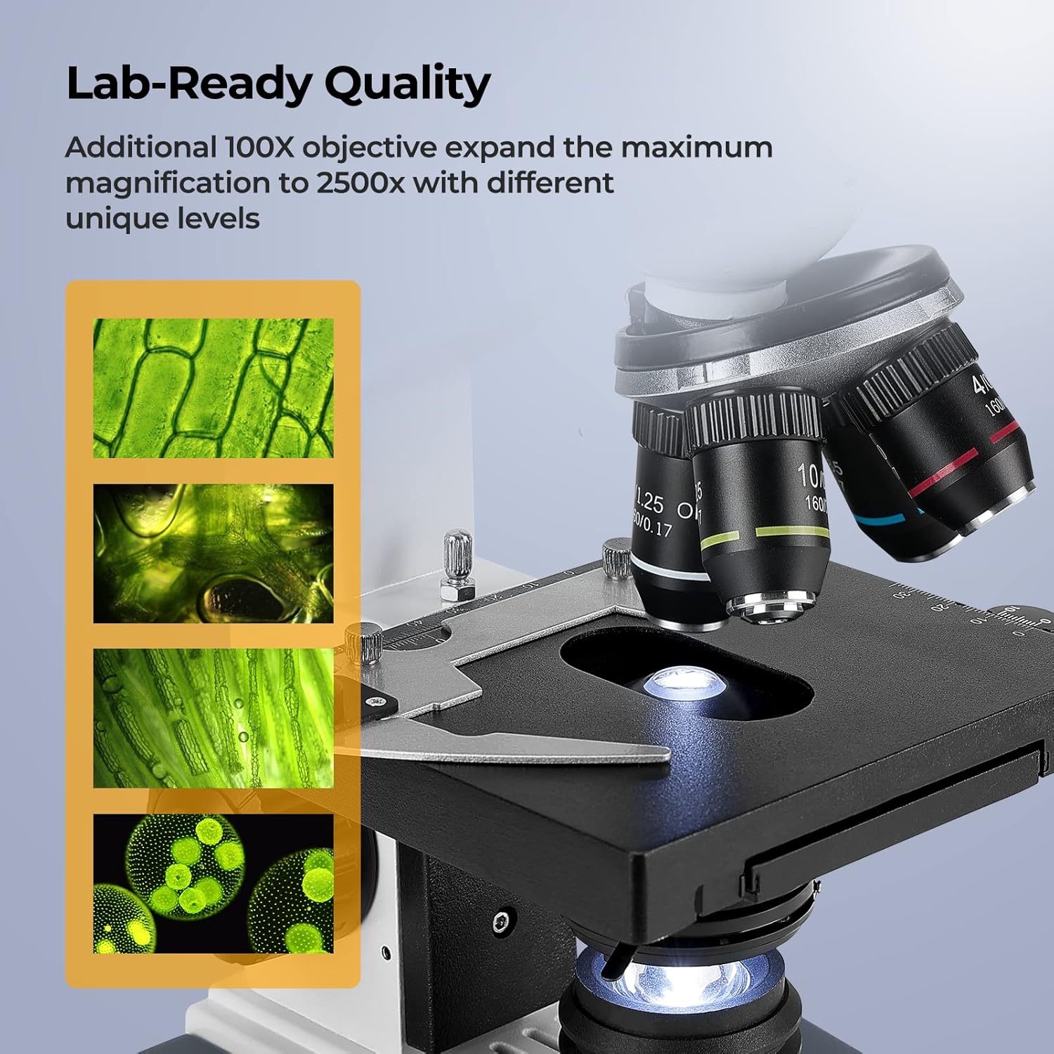 Microscópio Trinocular 40X-250 - Microscope Compound 40X avaliação e preço